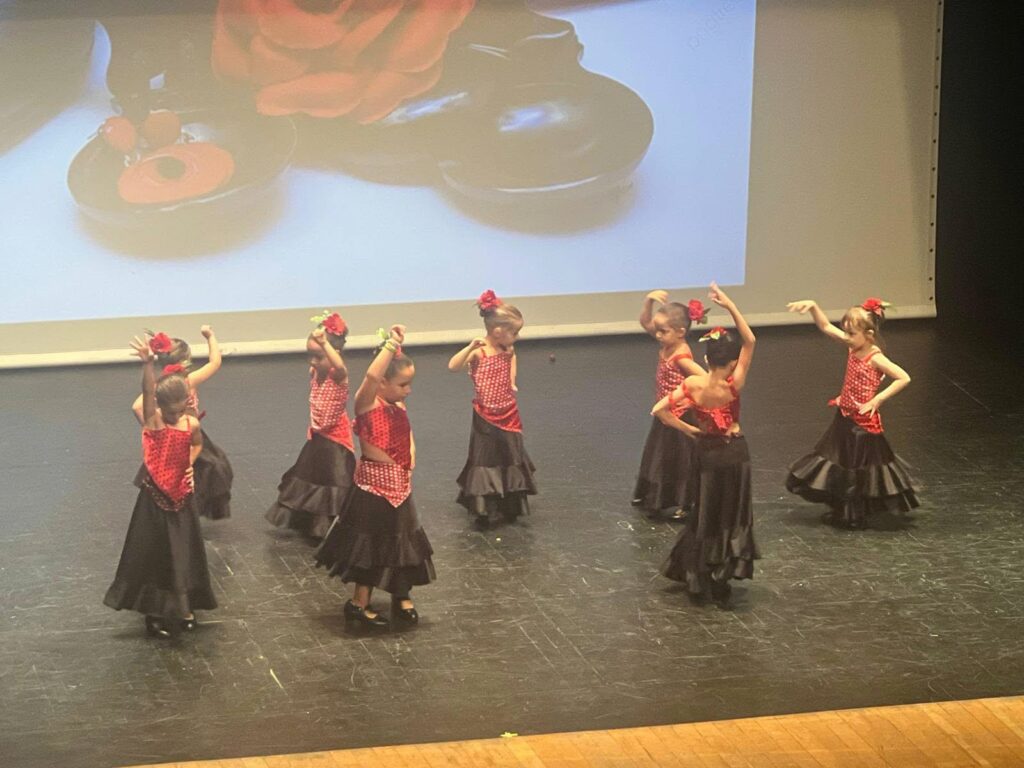 escuela de artes marciales danza tomelloso 10