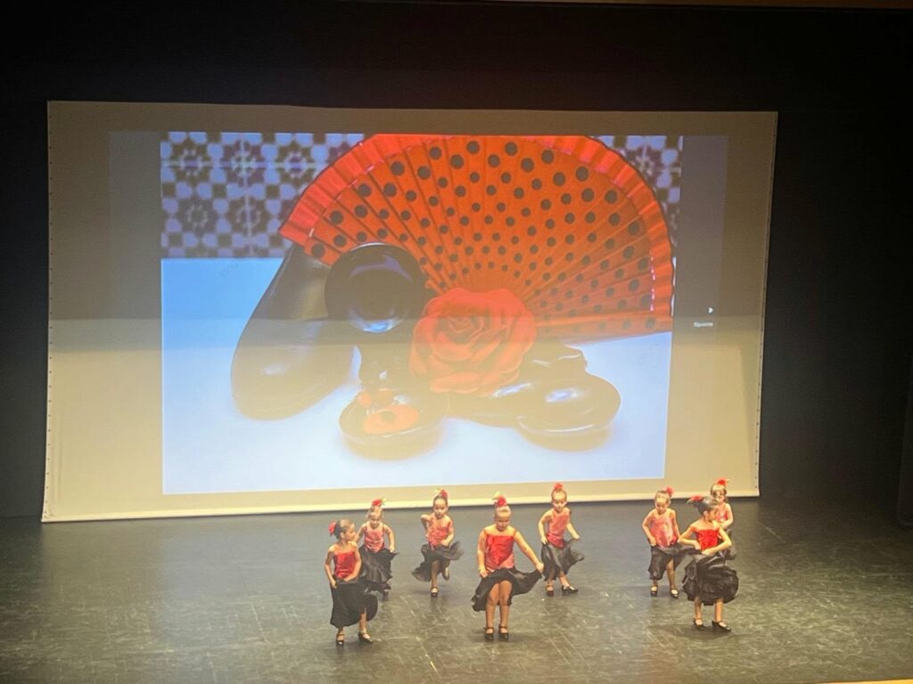 escuela de artes marciales danza tomelloso 15