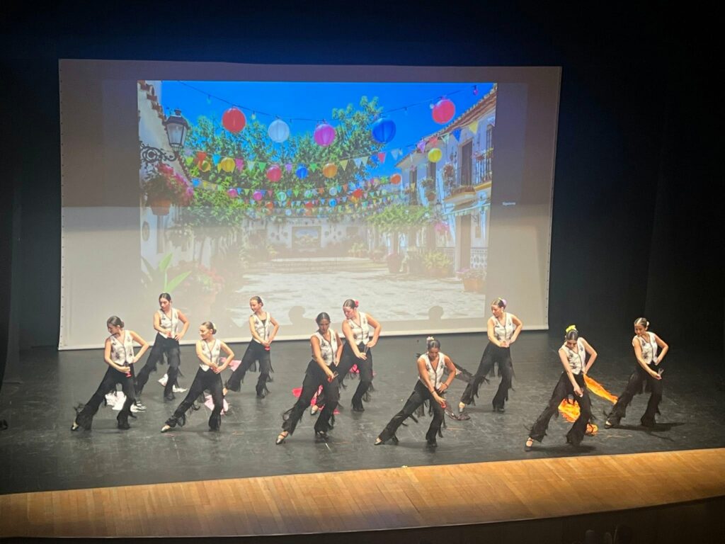 escuela de artes marciales danza tomelloso 24