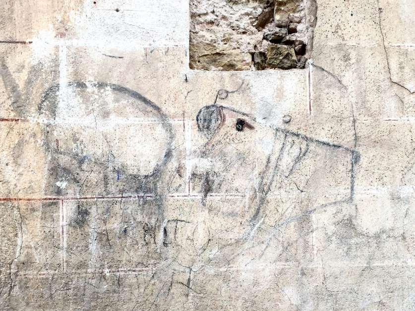 Los diarios, los grafitis y los cielos de la Guerra Civil vuelven a hablar en Cogolludo 15 grafiticogolludo
