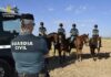 La Guardia Civil de Albacete refuerza el operativo de la campaña de recogida del ajo con el Grupo de Caballería La Guardia Civil de Albacete refuerza el operativo de la campaña de recogida del ajo con el Grupo de Caballería