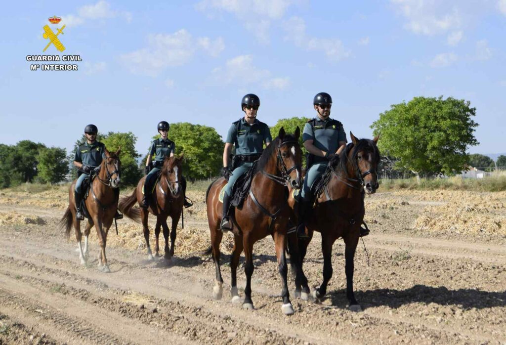 guardiacivilrecogidaajo 3