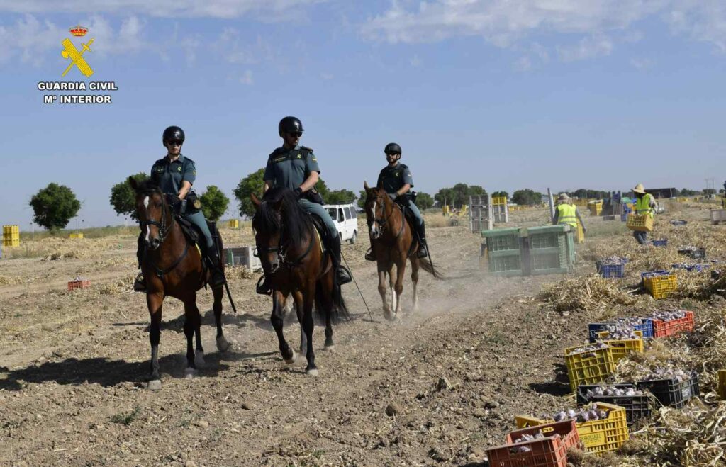 guardiacivilrecogidaajo 4