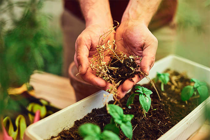 Nueva oportunidad laboral en Tomelloso para perfiles con experiencia en jardinería y viverismo