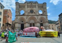 Las plataformas Stop Biometano CLM y Stop Ganadería Industrial reclaman seguridad jurídica y un cambio de modelo tras reunirse con la consejera Mercedes Gómez Las plataformas Stop Biometano CLM y Stop Ganadería Industrial reclaman seguridad jurídica y un cambio de modelo tras reunirse con la consejera Mercedes Gómez
