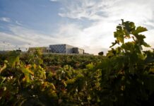 Terraselecta participa con 12 vinos de cinco de sus bodegas en la feria sectorial Fenavin Match 2026 Terraselecta participa con 12 vinos de cinco de sus bodegas en la feria sectorial Fenavin Match 2026