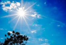 El tiempo en Tomelloso hoy, 25 de junio de 2026: calor, calima y hasta 33 grados por la tarde El tiempo en Tomelloso hoy, 25 de junio de 2026: calor, calima y hasta 33 grados por la tarde