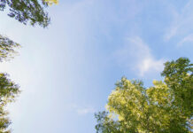 El tiempo en Tomelloso hoy, 28 de junio de 2026: calor, nubes y claros y hasta 35 ºC El tiempo en Tomelloso hoy, 28 de junio de 2026: calor, nubes y claros y hasta 35 ºC
