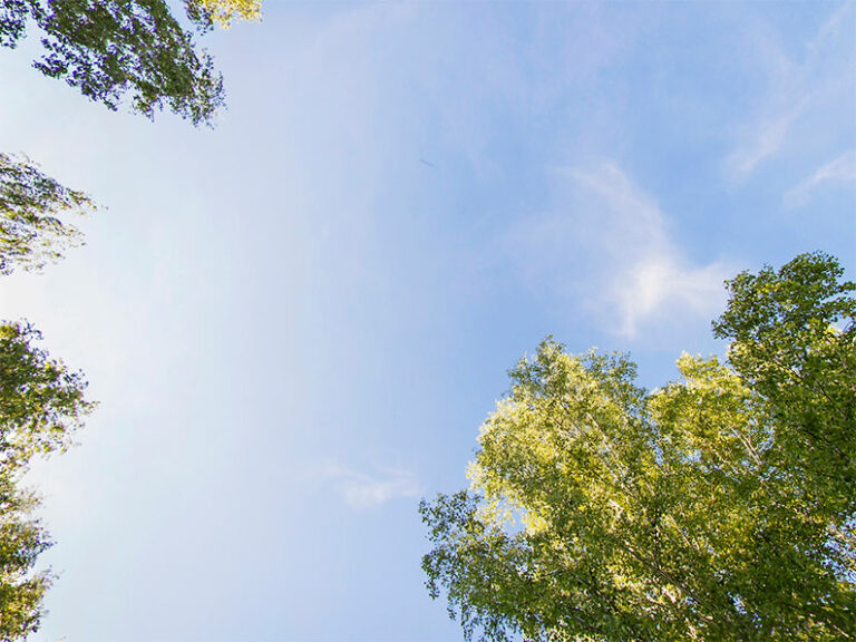El tiempo en Tomelloso hoy, 28 de junio de 2026: calor, nubes y claros y hasta 35 ºC