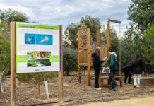 PortAventura World abre una nueva etapa centrada en la regeneración del entorno PortAventura World abre una nueva etapa centrada en la regeneración del entorno