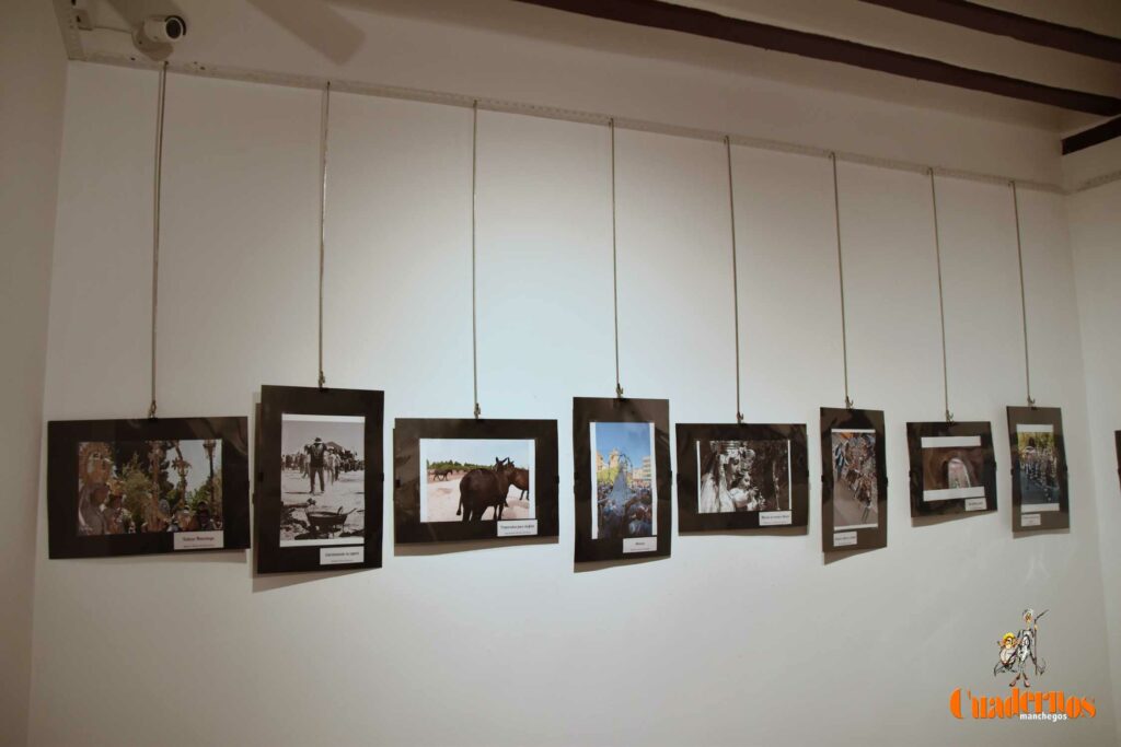 La Romería de Tomelloso revive en 115 fotografías en la Posada de los Portales 30 DSC 0230