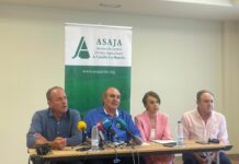 ASAJA CLM llevará la crisis de los conejos al Parlamento Europeo y exige a las Cortes regionales una defensa firme del agua ASAJA CLM llevará la crisis de los conejos al Parlamento Europeo y exige a las Cortes regionales una defensa firme del agua