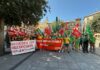 Bomberos/as forestales se movilizan contra los recortes y reclaman una reunión a la consejera de Desarrollo Sostenible Bomberos/as forestales se movilizan contra los recortes y reclaman una reunión a la consejera de Desarrollo Sostenible