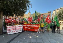 Bomberos/as forestales se movilizan contra los recortes y reclaman una reunión a la consejera de Desarrollo Sostenible Bomberos/as forestales se movilizan contra los recortes y reclaman una reunión a la consejera de Desarrollo Sostenible
