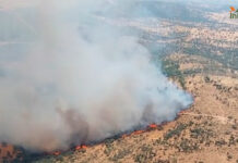 Un total de 119 efectivos continúan trabajando en el incendio forestal de Viso del Marqués Un total de 119 efectivos continúan trabajando en el incendio forestal de Viso del Marqués