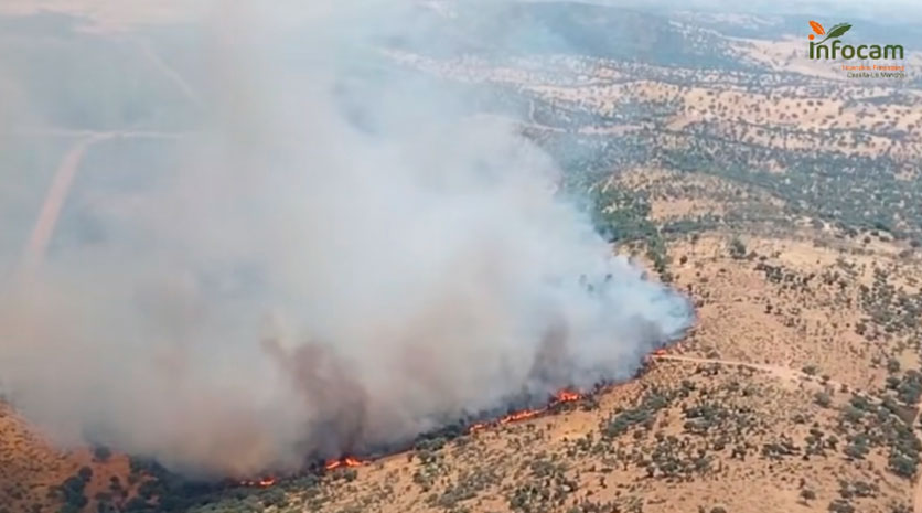 Un total de 119 efectivos continúan trabajando en el incendio forestal de Viso del Marqués
