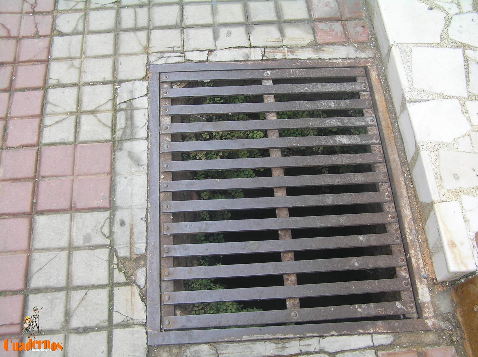 Tomelloso llegó a tener siete cuevas por cada 100 habitantes en pleno auge vinícola
