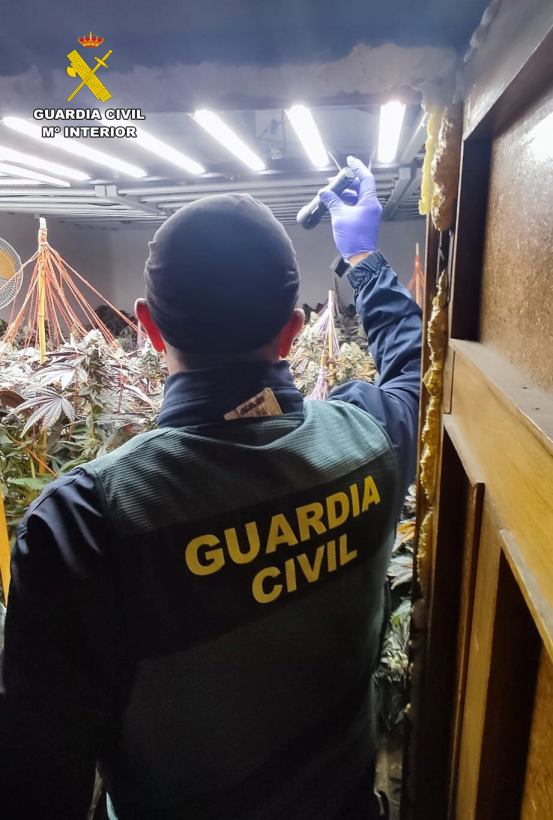 La Guardia Civil de Albacete detiene a seis personas y desmantela una plantación de cannabis sativa en Munera 1 detenidosmunerasucesos 2