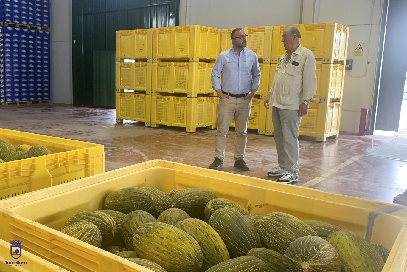 Navarro visita en Tomelloso la S.A.T Hortiman 2 El alcalde visita la S.A.T Hortiman donde se ha interesado por la campaña de melón y sandía