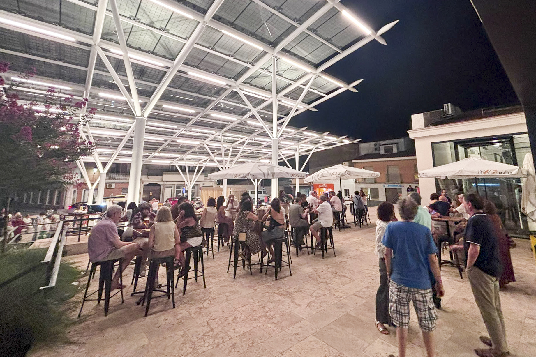 Abierto en Tomelloso un nuevo proceso de licitación para los puestos del Mercado Municipal de Abastos 1 El Ayuntamiento abre un nuevo proceso de licitación para los puestos del Mercado Municipal de Abastos