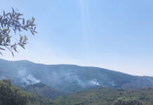 El Ayuntamiento de Tamajón traslada la preocupación por un sector del incendio donde una intervención temprana podría evitar una mayor propagación El Ayuntamiento de Tamajón traslada la preocupación por un sector del incendio donde una intervención temprana podría evitar una mayor propagación