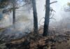 El incendio de La Mierla sigue en nivel 1 con 48 efectivos desplegados El incendio de La Mierla sigue en nivel 1 con 48 efectivos desplegados