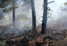 El incendio de La Mierla sigue en nivel 1 con 48 efectivos desplegados El incendio de La Mierla sigue en nivel 1 con 48 efectivos desplegados
