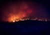 Los incendios dejan una factura invisible para el campo: el humo, la falta de pastos y la recuperación de las explotaciones prolongarán sus efectos durante años Los incendios dejan una factura invisible para el campo: el humo, la falta de pastos y la recuperación de las explotaciones prolongarán sus efectos durante años