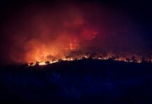 Los incendios dejan una factura invisible para el campo: el humo, la falta de pastos y la recuperación de las explotaciones prolongarán sus efectos durante años Los incendios dejan una factura invisible para el campo: el humo, la falta de pastos y la recuperación de las explotaciones prolongarán sus efectos durante años
