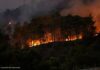 Incendios en España: la nueva ola de calor exige reforzar la protección de la infancia Incendios en España: la nueva ola de calor exige reforzar la protección de la infancia