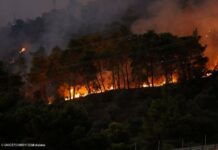 Incendios en España: la nueva ola de calor exige reforzar la protección de la infancia Incendios en España: la nueva ola de calor exige reforzar la protección de la infancia