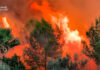 Los incendios forestales mantienen movilizados a los servicios de emergencia en plena ola de calor Los incendios forestales mantienen movilizados a los servicios de emergencia en plena ola de calor