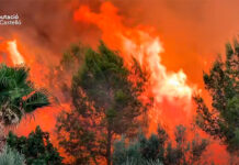 Los incendios forestales mantienen movilizados a los servicios de emergencia en plena ola de calor Los incendios forestales mantienen movilizados a los servicios de emergencia en plena ola de calor