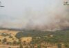 El incendio de Almorox gana intensidad en la zona de Villa del Prado El incendio de Almorox gana intensidad en la zona de Villa del Prado