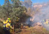 INFOCAM mantiene 109 efectivos en los incendios de Burgohondo y Almorox INFOCAM mantiene 109 efectivos en los incendios de Burgohondo y Almorox