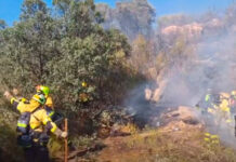 INFOCAM mantiene 109 efectivos en los incendios de Burgohondo y Almorox INFOCAM mantiene 109 efectivos en los incendios de Burgohondo y Almorox