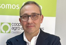Cooperativas por un mundo en paz Cooperativas por un mundo en paz