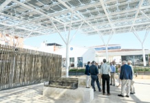 Las pérgolas del Mercado de Abastos de Tomelloso despiertan el interés internacional en innovación energética con la visita de la Universidad RMIT Las pérgolas del Mercado de Abastos despiertan el interés internacional en innovación energética con la visita de la Universidad RMIT