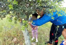 Un maestro de la escuela rural de Toledo, entre los tres docentes más destacados de España Un maestro de la escuela rural de Toledo, entre los tres docentes más destacados de España