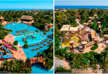 Más agua, más selva y más emociones: así serán las nuevas experiencias de PortAventura World Más agua, más selva y más emociones: así serán las nuevas experiencias de PortAventura World