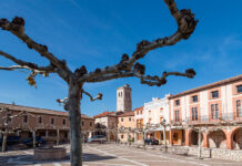 Castilla-La Mancha afronta hoy un lunes de calor intenso con máximas de hasta 41 grados Castilla-La Mancha afronta hoy un lunes de calor intenso con máximas de hasta 41 grados
