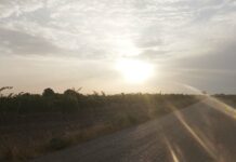 Tomelloso afronta un miércoles de intenso calor con temperaturas de hasta 37 grados Tiempo en Tomelloso