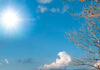 Tomelloso afronta un lunes soleado con temperaturas de hasta 35 grados Tomelloso afronta un lunes soleado con temperaturas de hasta 35 grados