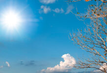 Tomelloso afronta un lunes soleado con temperaturas de hasta 35 grados Tomelloso afronta un lunes soleado con temperaturas de hasta 35 grados