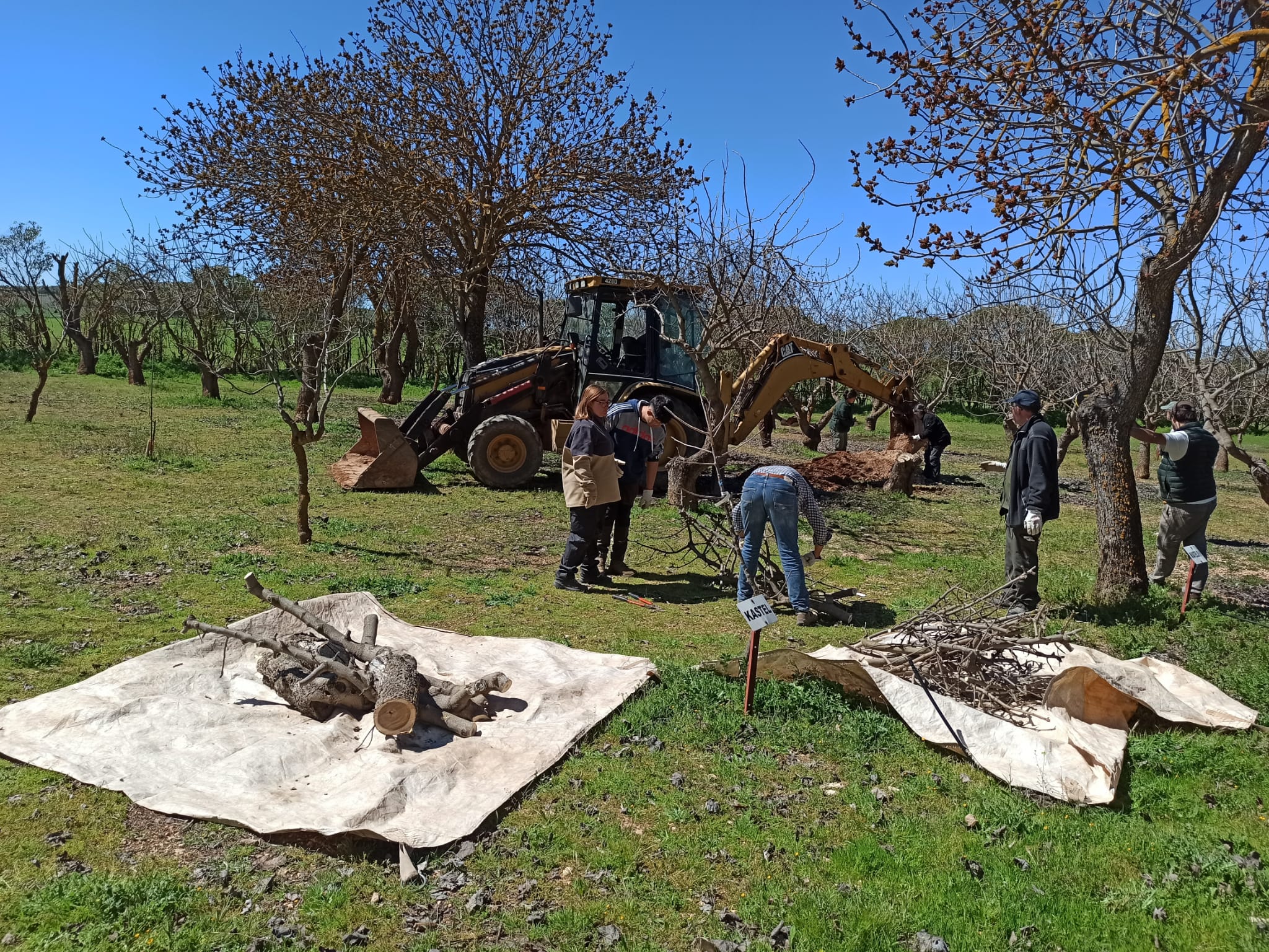 Un estudio concluye que la producción regional de pistacho presenta una alta sostenibilidad frente a otros grandes modelos productivos mundiales 1 Un estudio concluye que la producción regional de pistacho presenta una alta sostenibilidad frente a otros grandes modelos productivos mundiales