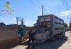 La OCA de Tomelloso interviene una explotación ilegal de ganado ovino en Ruidera con 28 animales tras una actuación de la Guardia Civil La OCA de Tomelloso interviene una explotación ilegal de ganado ovino en Ruidera con 28 animales tras una actuación de la Guardia Civil