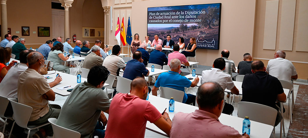 La Diputación de Ciudad Real escucha las propuestas de los municipios afectados para canalizar las ayudas destinadas a combatir los daños provocados por la plaga de conejos