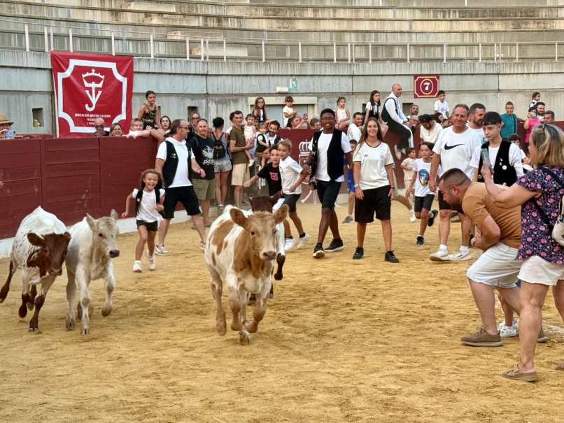Mucha participación en la Bueyada Infantil, segunda actividad del programa taurino de la Feria de Villacañas 5 bueyada 6