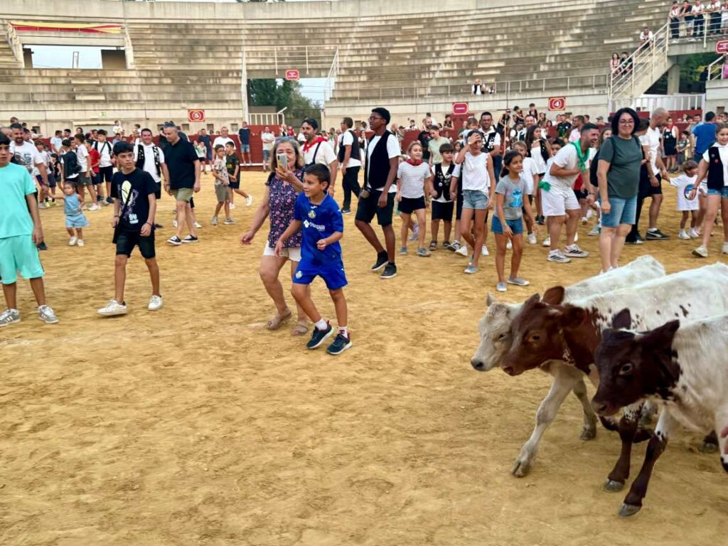 Mucha participación en la Bueyada Infantil, segunda actividad del programa taurino de la Feria de Villacañas 6 bueyada 7