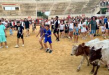 Mucha participación en la Bueyada Infantil, segunda actividad del programa taurino de la Feria de Villacañas Mucha participación en la Bueyada Infantil, segunda actividad del programa taurino de la Feria de Villacañas